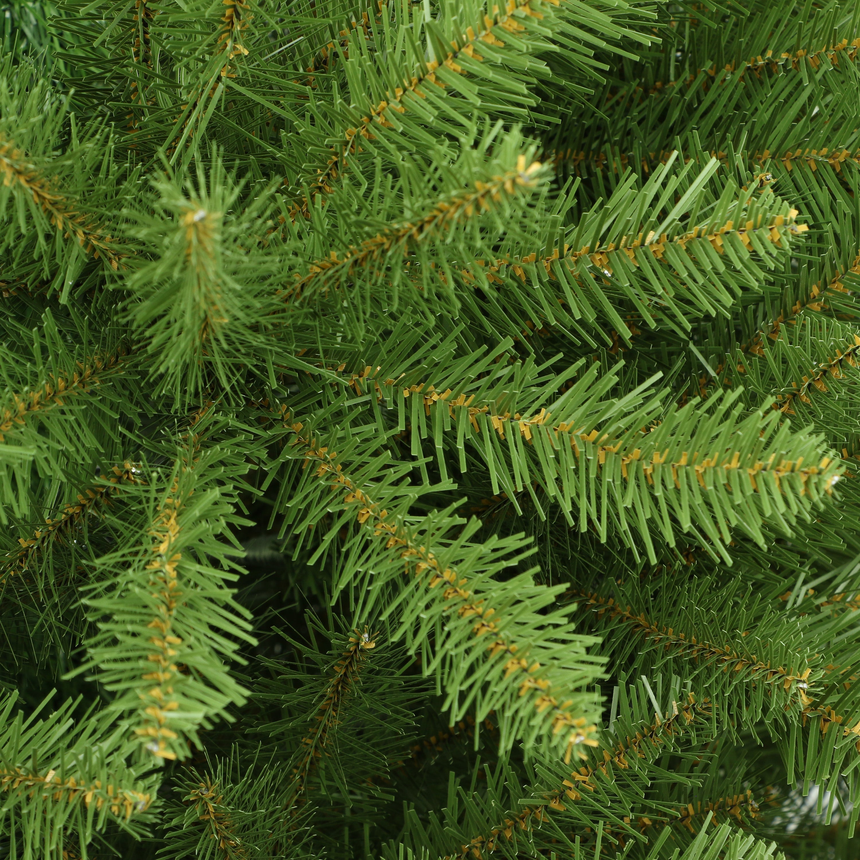 9ft Pencil Fraser Fir Christmas Tree